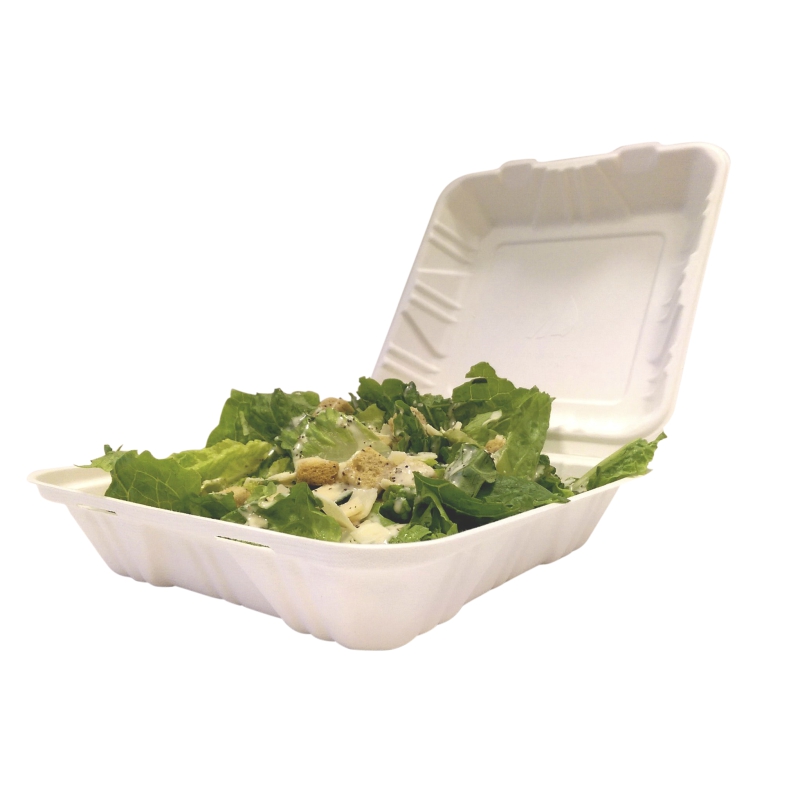 Bagasse 1 Compartment Meal Box 1,000ml