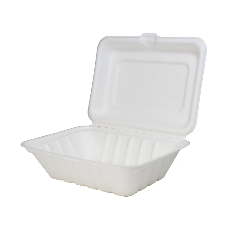 Bagasse Small Meal Box 7 Inch